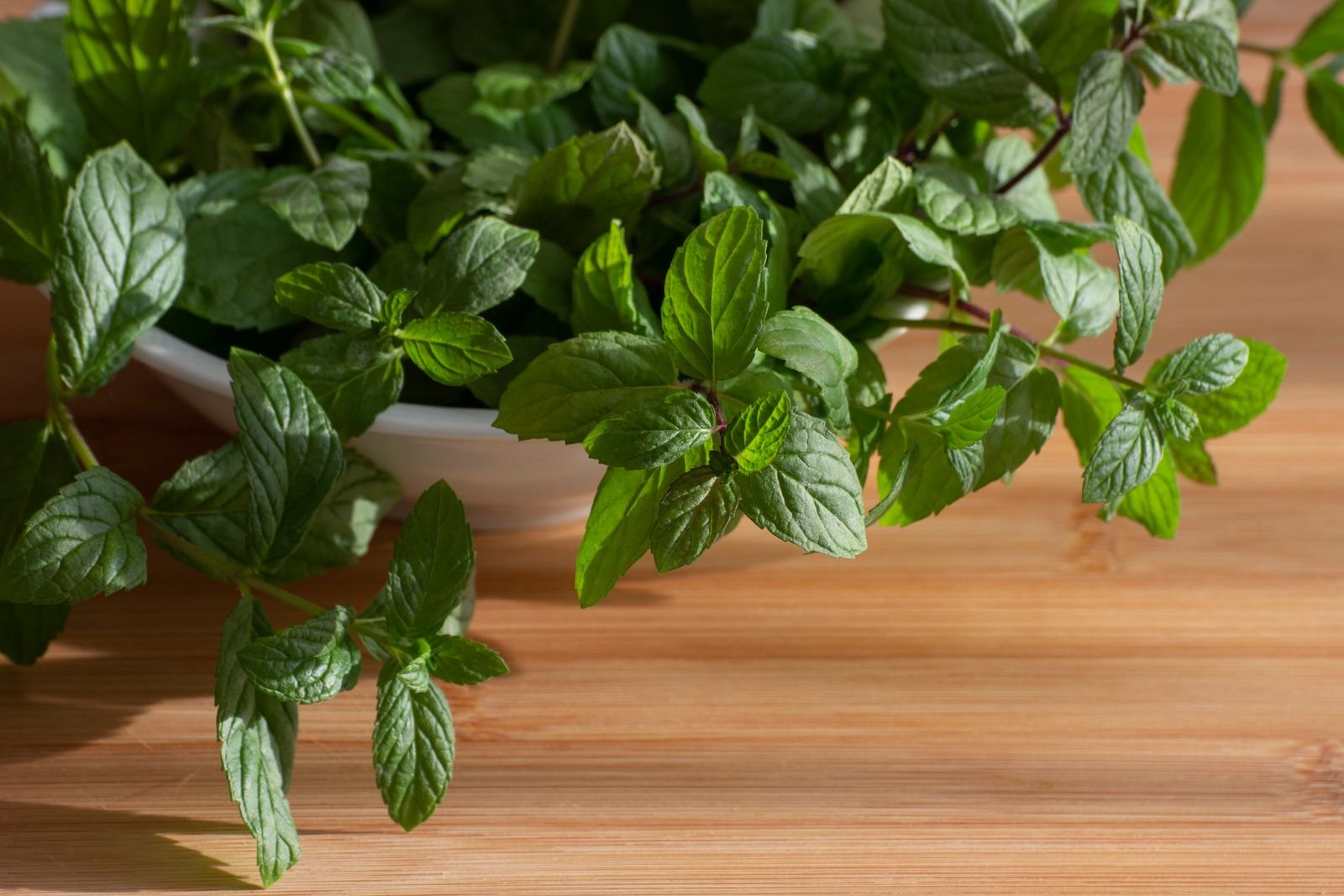 Fresh Herbs: Keep Them Alive, Use Them Up