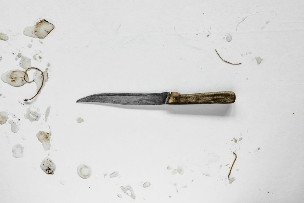 Forged Chef's Knife, 8 in