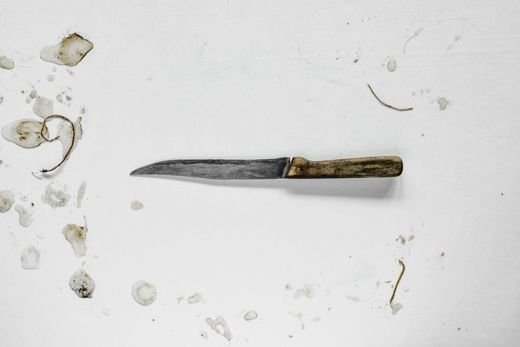 Forged Chef's Knife, 8 in