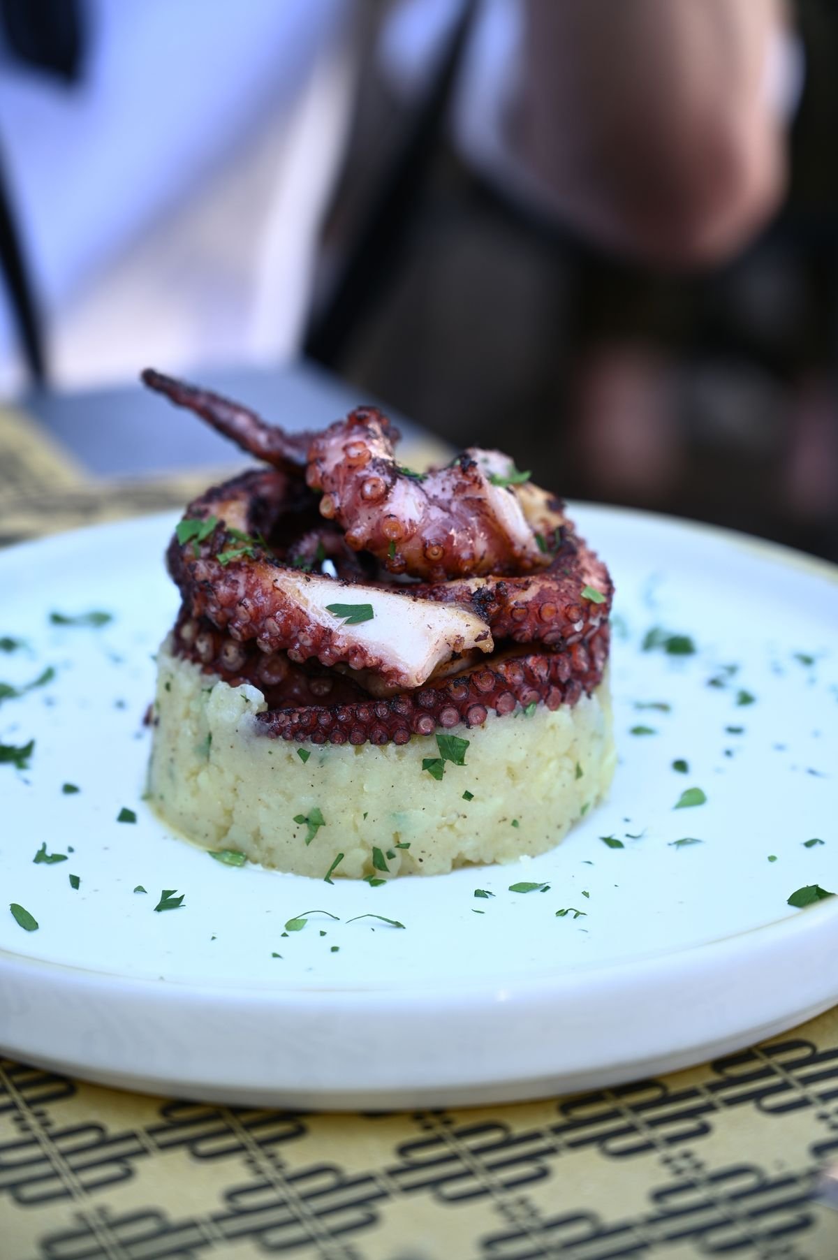 Charred Grilled Octopus