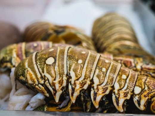 Broiled Lobster Tails